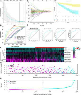 Identification and Validation of a Ferroptosis-Related Long Non-Coding RNA (FRlncRNA) Signature to Predict Survival Outcomes and the Immune Microenvironment in Patients With Clear Cell Renal Cell Carcinoma